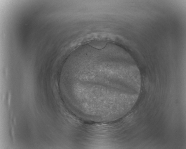 X0000066931489200604071832