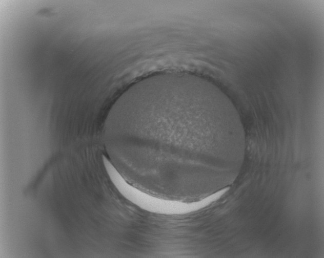 X0000066931490200604071832