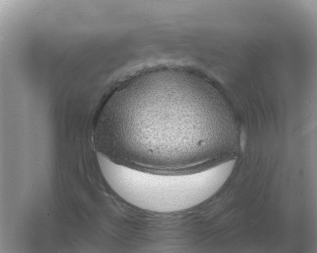 X0000066931492200604071832