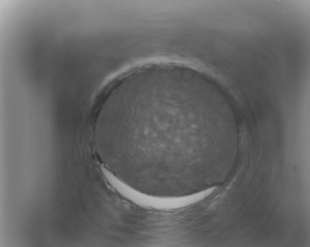 X0000066931494200604071832