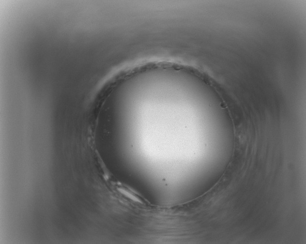 X0000066931495200604071832