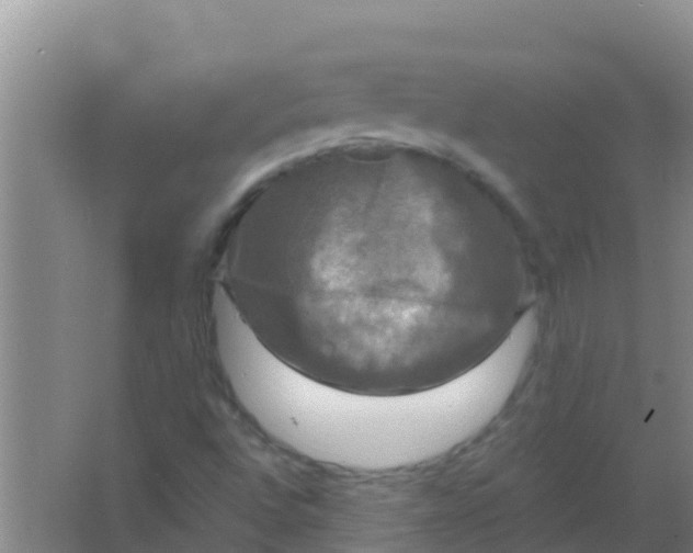 X0000066931496200604071832