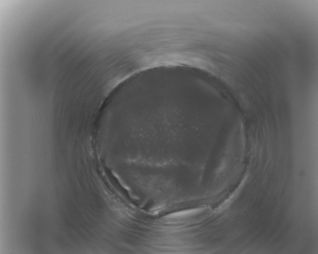 X0000066931497200604071832