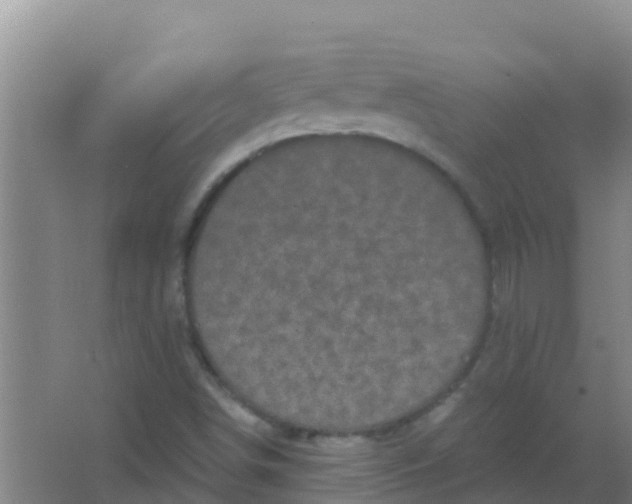 X0000066931498200604071833