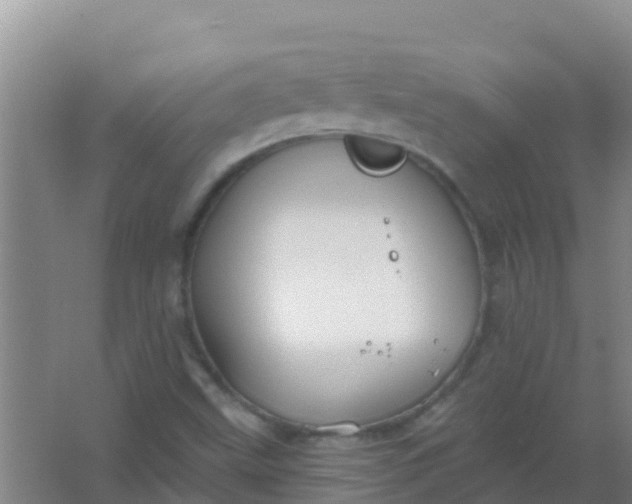 X0000066931499200604071833