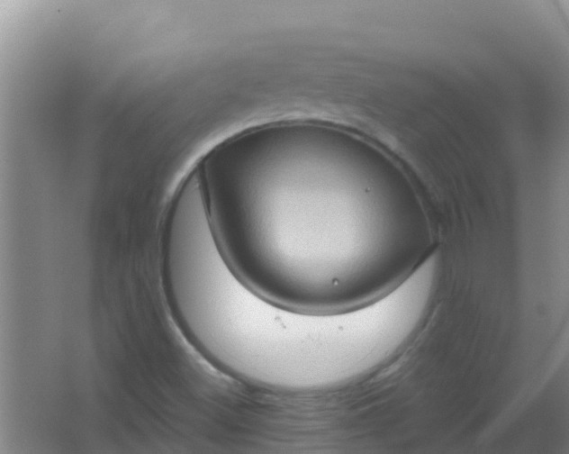 X0000066931500200604071833