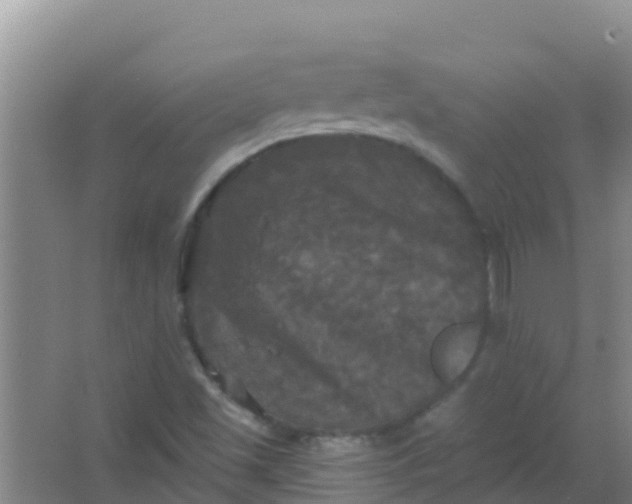 X0000066931501200604071833