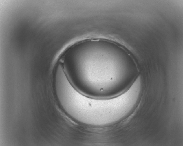 X0000066931502200604071833