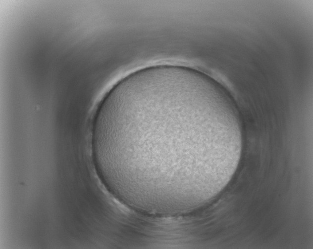 X0000066931504200604071833