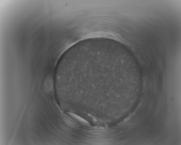 X0000066931505200604071833