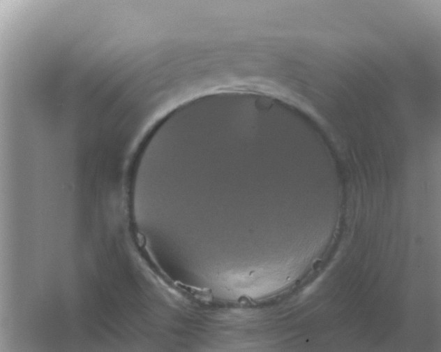 X0000066931506200604071833