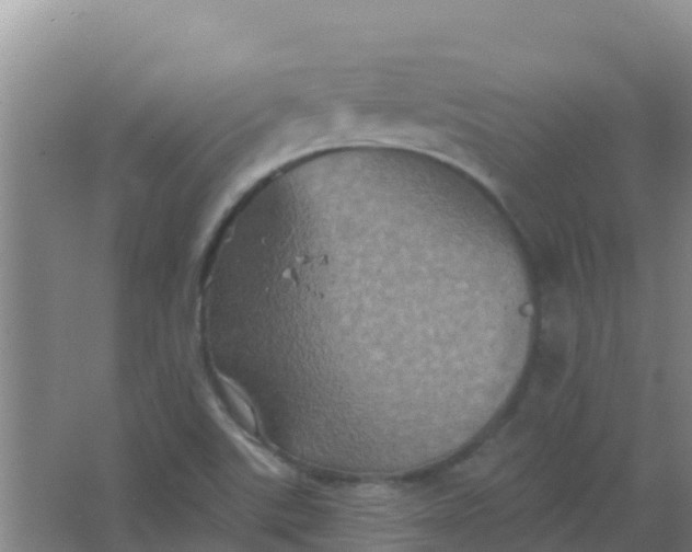 X0000066931507200604071833