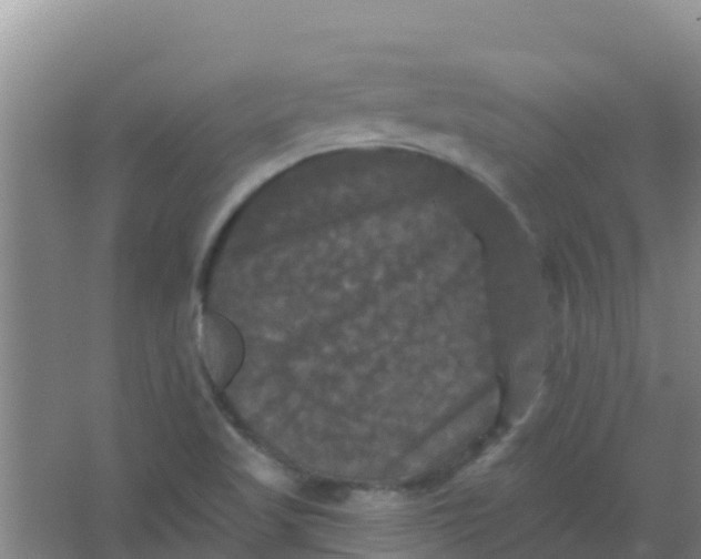 X0000066931509200604071833