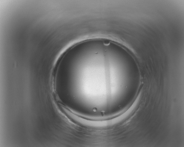 X0000066931510200604071833