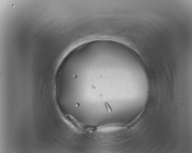 X0000066931511200604071833