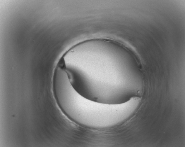 X0000066931512200604071833