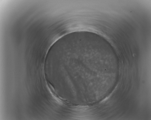 X0000066931513200604071833