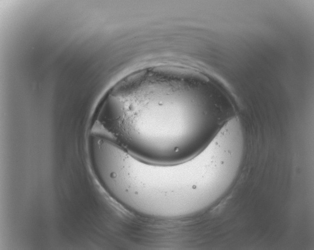 X0000066931514200604071833