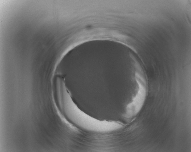 X0000066931515200604071833