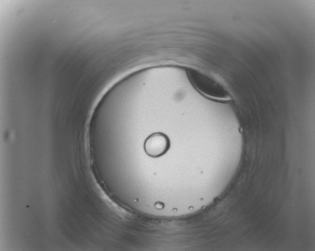 X0000066931516200604071833