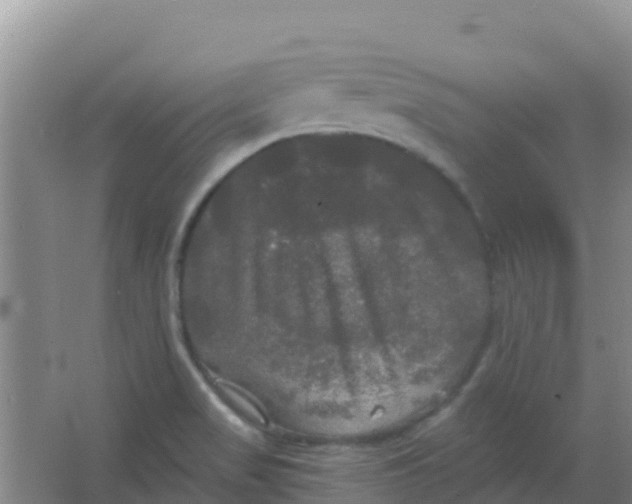 X0000066931517200604071833