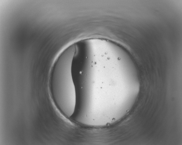 X0000066931518200604071833