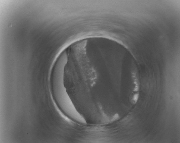 X0000066931519200604071833