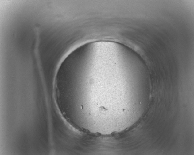 X0000066931520200604071833