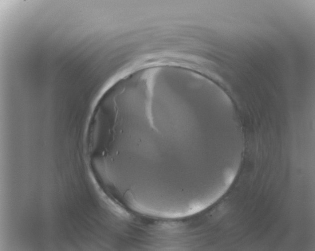 X0000066931522200604071833