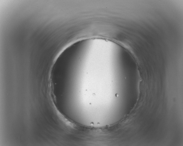 X0000066931524200604071833