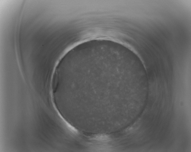 X0000066931525200604071833