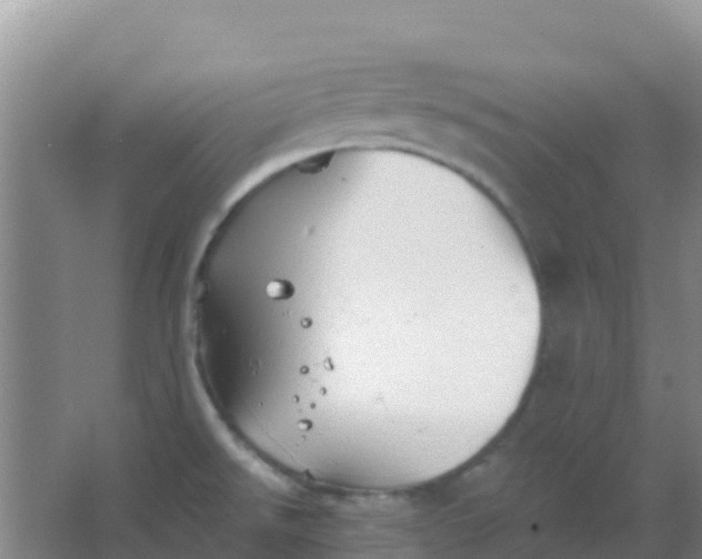 X0000066931526200604071833