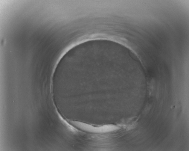 X0000066931527200604071833