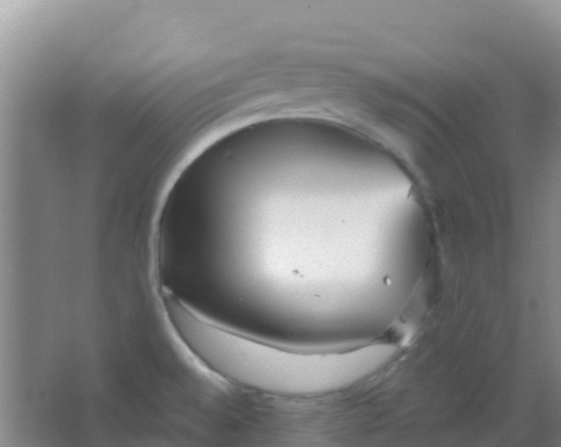 X0000066931528200604071833