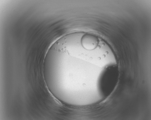 X0000066931529200604071833