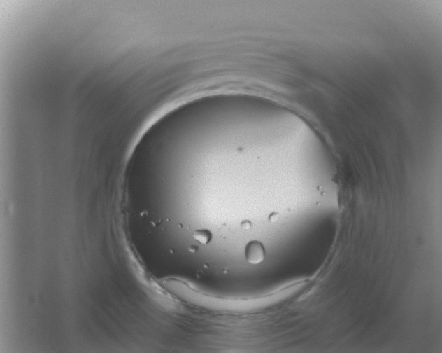 X0000066931530200604071833