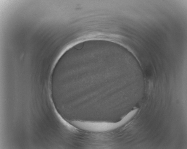 X0000066931531200604071833