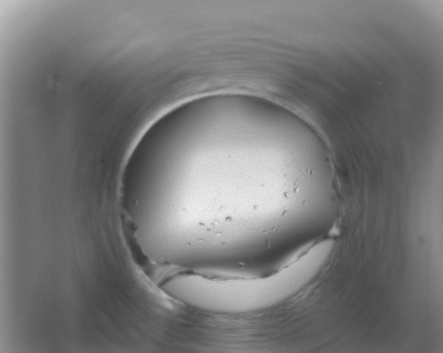 X0000066931532200604071833