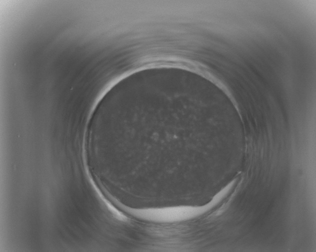 X0000066931533200604071833