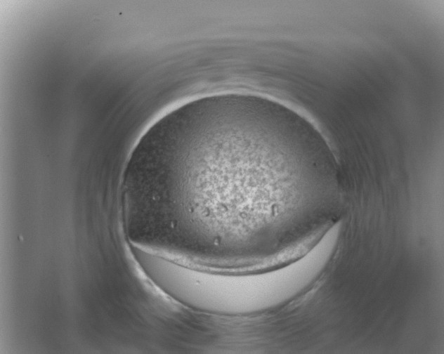 X0000066931534200604071833