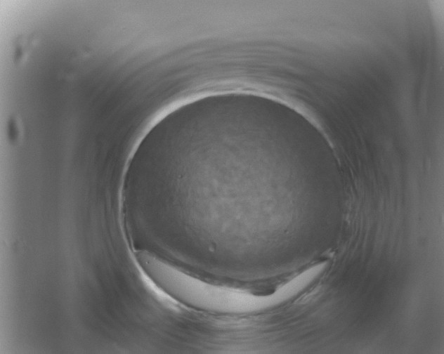 X0000066931535200604071833