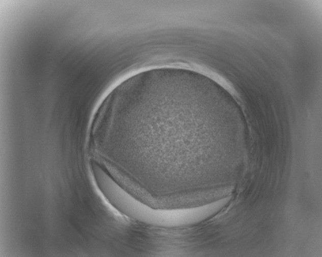 X0000066931536200604071833