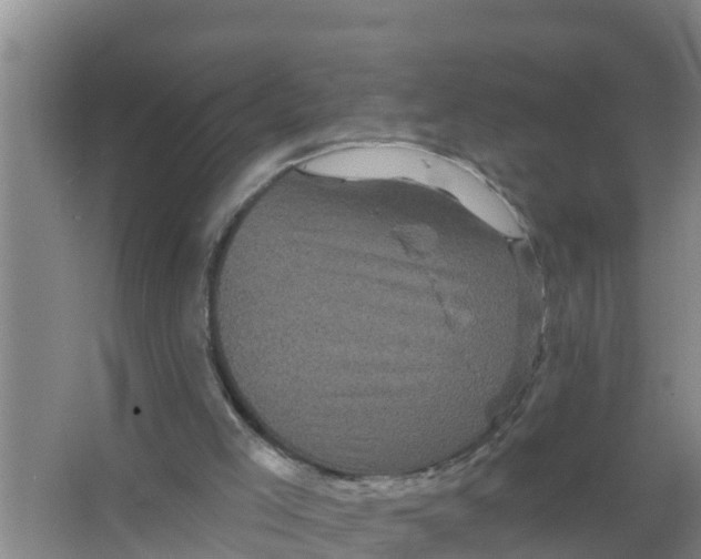 X0000066930005200604142010