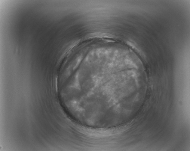 X0000066930014200604142009