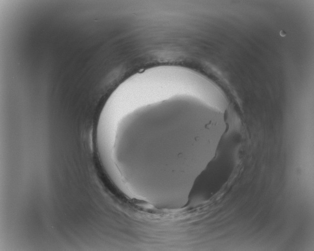 X0000066930019200604142009