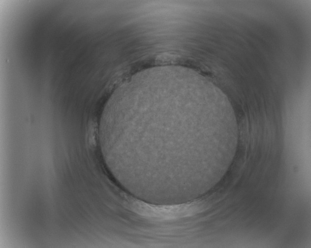 X0000066930038200604142009