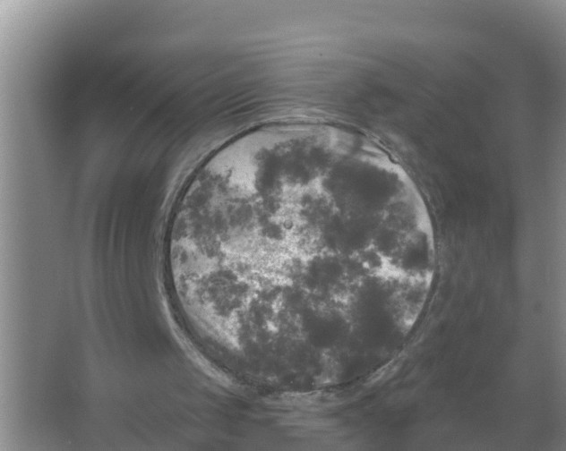 X0000066930049200604142008