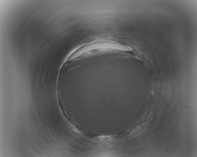X0000066930052200604142008