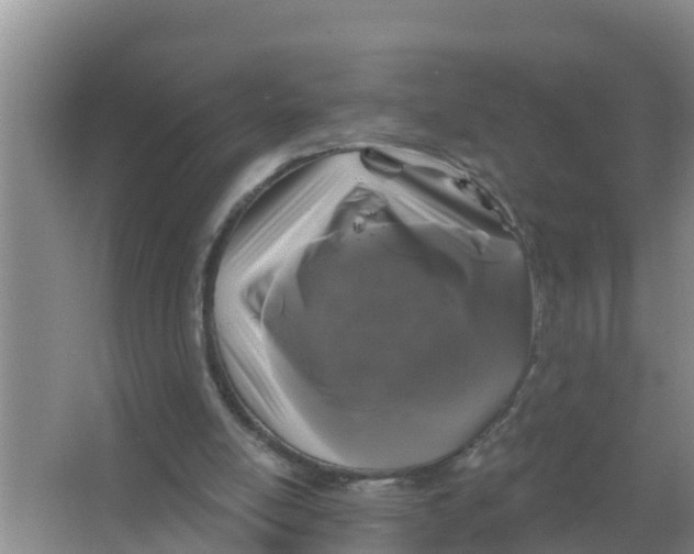 X0000066930054200604142008