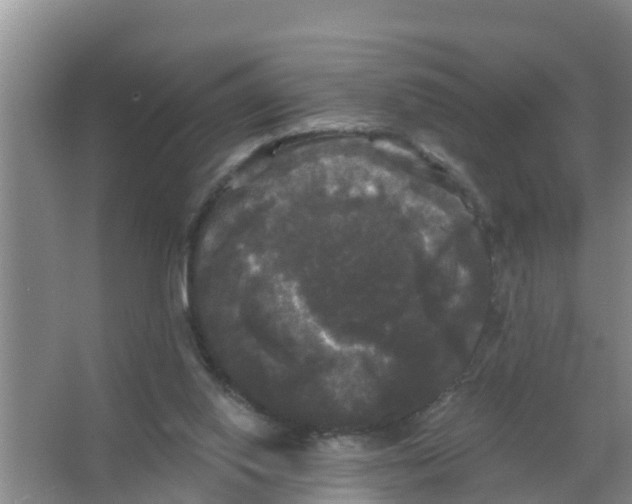 X0000066930062200604142008